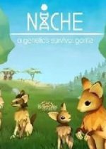 Niche