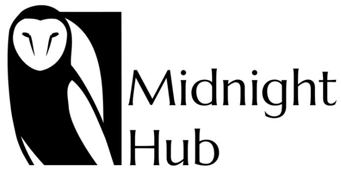 销量太差逼死开发商Midnight Hub！“黑暗《看火人》”《湖劫》成绝唱