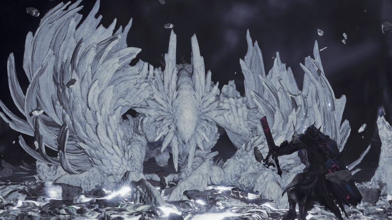 《怪物獵人：荒野》一周年紀念！特別任務和活動公布