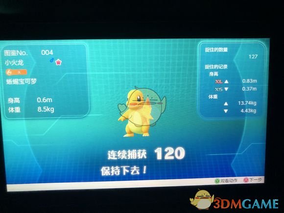 闪光小火龙精灵宝可梦letsgo皮卡丘伊布闪光小火龙抓取心得