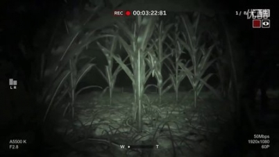 逃生2