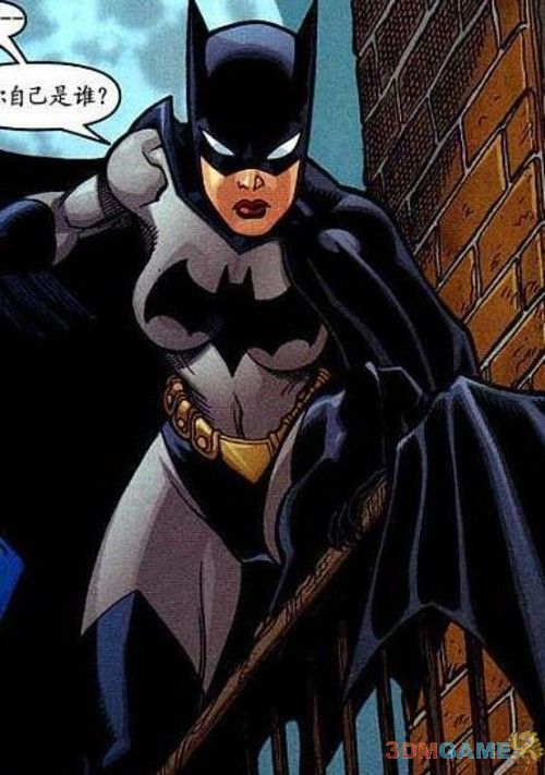 蝙蝠侠女主角名字图片