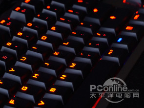 zxc221