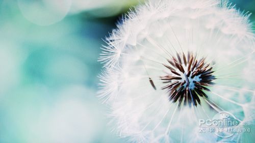 优派VX2206smh 优派VX2206smh