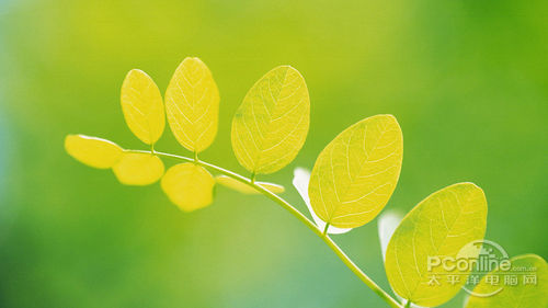 优派VX2206smh 优派VX2206smh