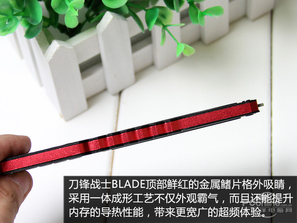 宇瞻