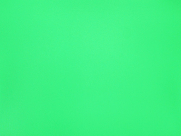 IMG7016