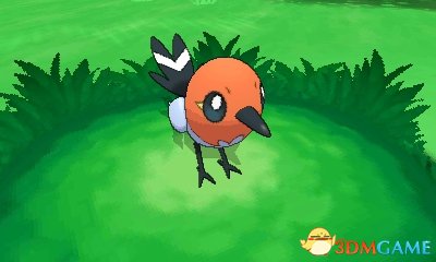 Fletchling