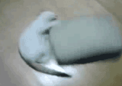 ô߾[]