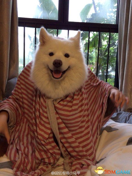 ҺһҴӦ