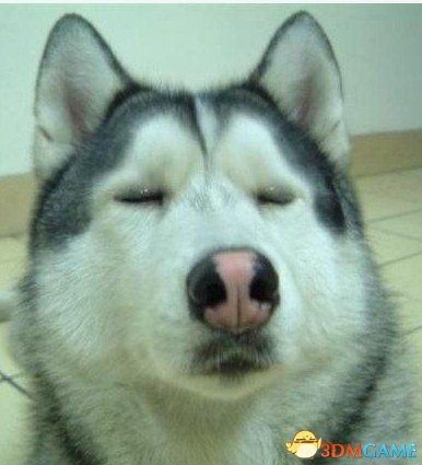ʵȴģѾ۳ɹˣľУ