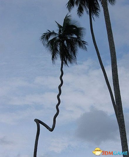 ΪһҬ