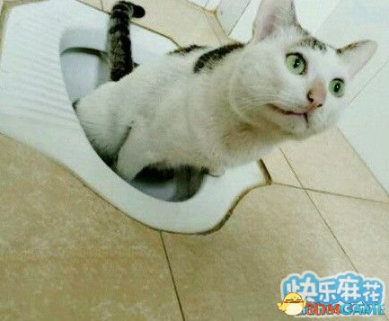 拉个屎都那么累,再加把劲!