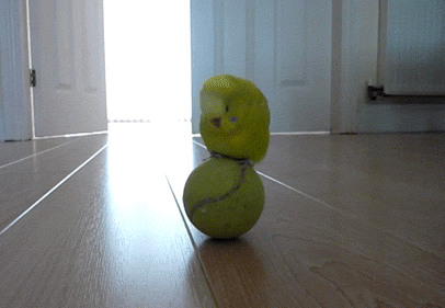 ұӼ