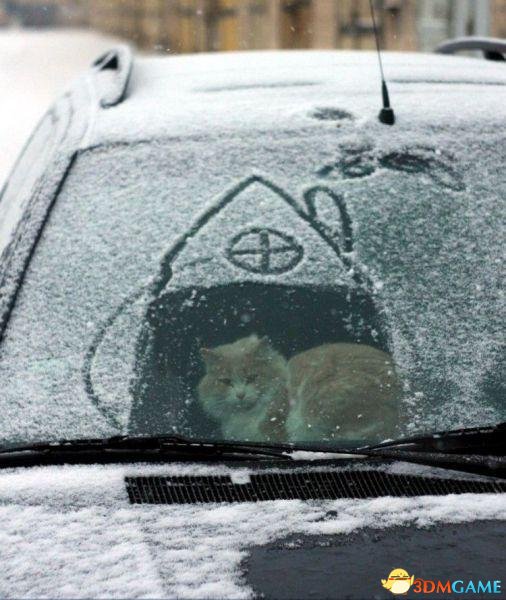 还是不要出去的好