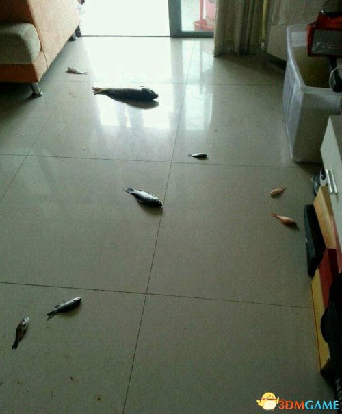 ģ㶼Խˣ