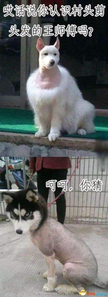 呵呵，你猜我猜不猜