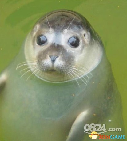 Ȼ˵