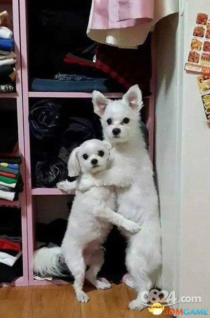 һЩҪ