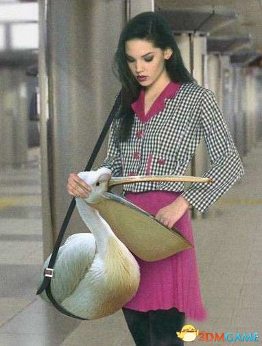 İڵˣÿɭ