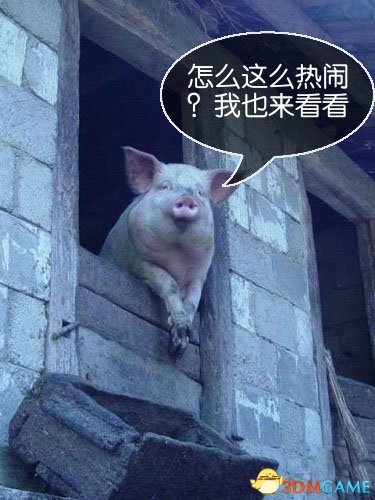 ôôְҲ