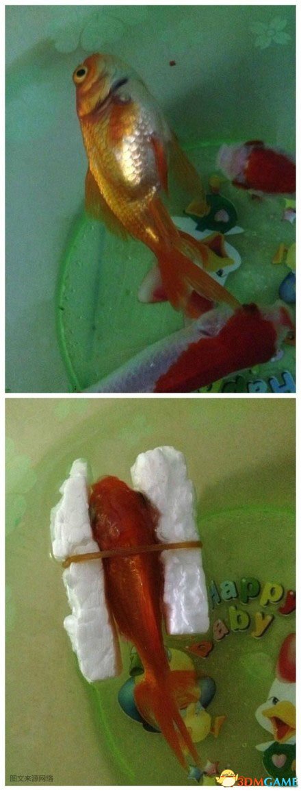 ˼Сˣ˰칤˹