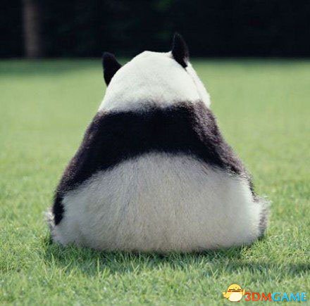 ꡫʵӣ