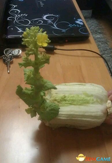 ײ˷ѿ