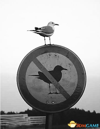 ˵ɶҿ