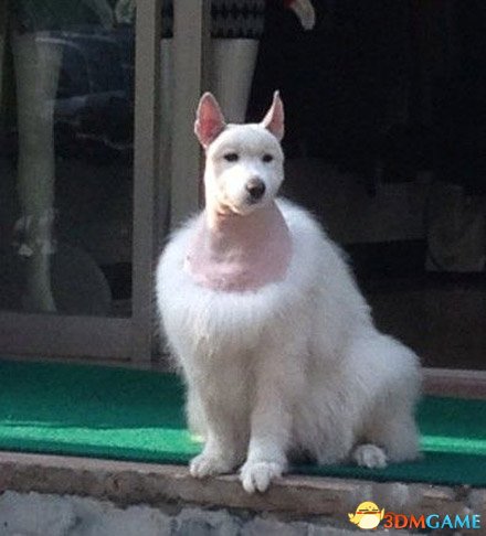 ˣҪʦ̸̸