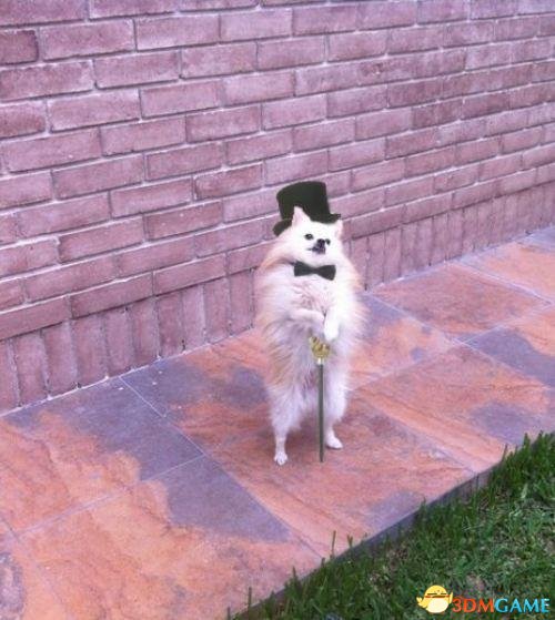 ʿ