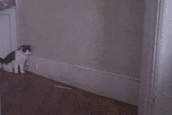 ҽý