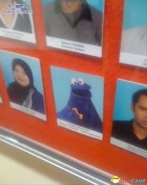ѧУʦƬ