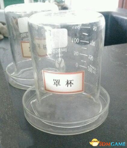 һֱ¶壡