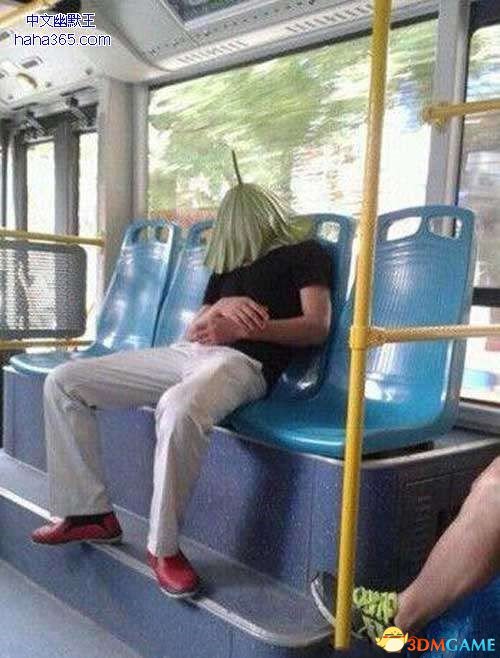 ˯ֲ