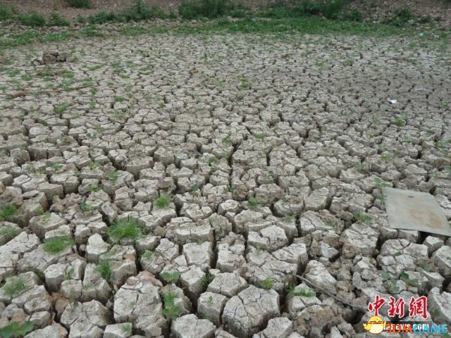 地处伏牛山东麓的河南省鲁山县，遭遇夏季大旱。全县玉米受旱面积44、98万亩，其中重旱27.88万亩，干枯9.8万亩；全县23条流域断流20条；37座中小型水库干涸33座；3260眼机井中有2567眼因地下水位下降不出水或出水不足。图为鲁山县干涸的小水库。