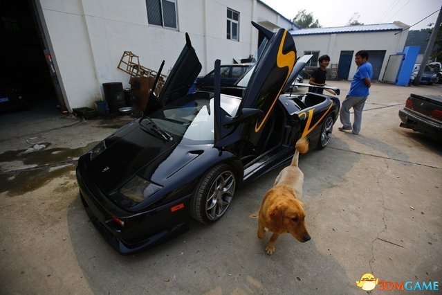 2014年8月21日，北京郊区，车库外，一条狗正从自制的兰博基尼Diablo超跑旁经过。