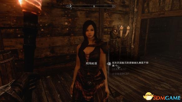 上古卷轴5：天际 随从MOD阿玛莉亚 汉化版