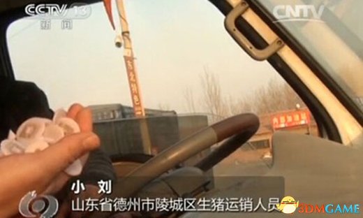 金锣集团病猪流入遭曝光 病死猪为什么屡禁不绝？