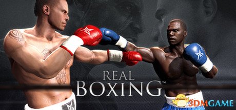 真实拳击