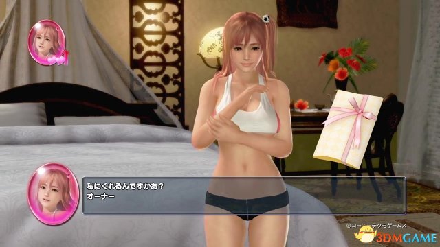 死或生：沙滩排球3