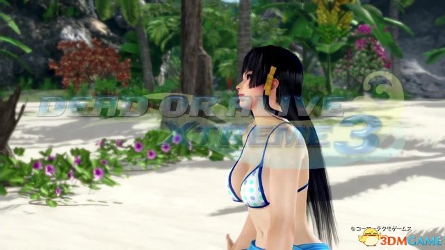 死或生：沙滩排球3