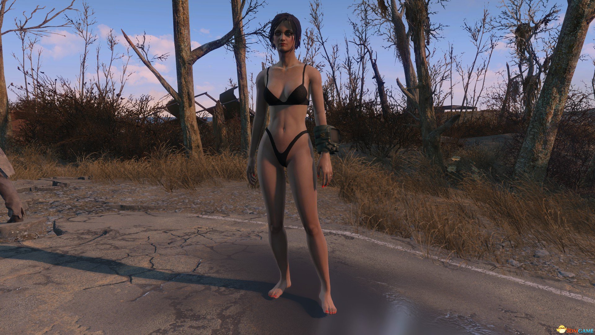 Fallout 4 slave and model poses фото 105