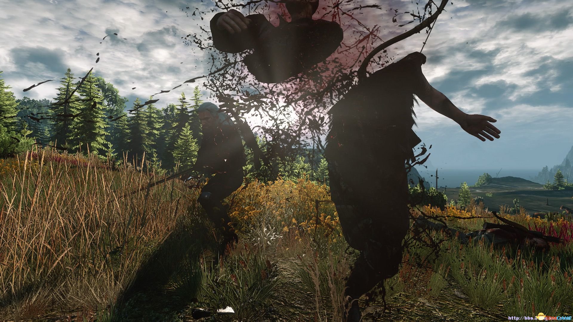 The witcher 3 finishers mod фото 28