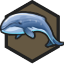 Whales.png