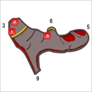 怪物猎人XX地底火山采集地图及素材一览