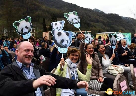为了请“熊猫陛下登基” 荷兰几乎用光所有力气