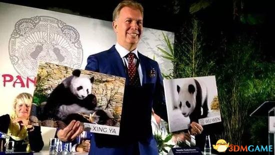 为了请“熊猫陛下登基” 荷兰几乎用光所有力气