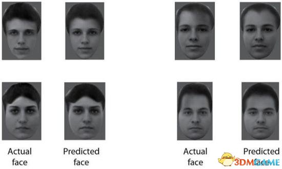 大脑咋分清王珞丹白百何?美国用猴子找到认脸