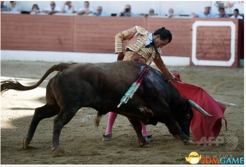 拿生命在娱乐！西班牙国宝级斗牛士客死法国斗牛节